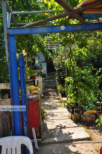 Agiasos (Agiassos) | Lesbos Griekenland 4 - Foto van https://www.grieksegids.nl/fotos/lesbos/normaal/lesbos-griekenland-272.jpg