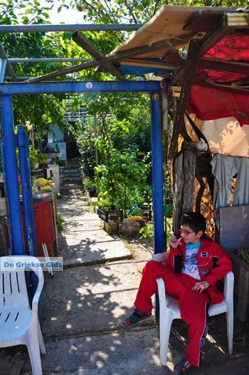 Agiasos (Agiassos) | Lesbos Griekenland 5 - Foto van https://www.grieksegids.nl/fotos/lesbos/normaal/lesbos-griekenland-273.jpg