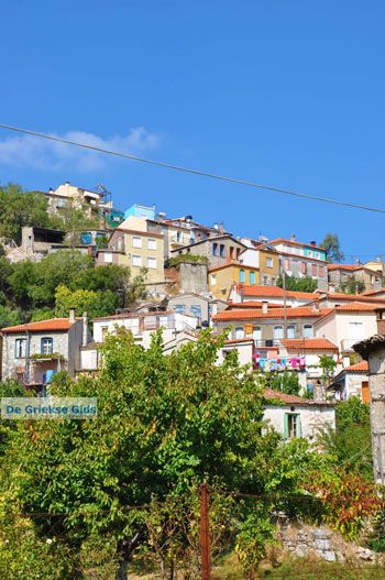 Agiasos (Agiassos) | Lesbos Griekenland 13 - Foto van https://www.grieksegids.nl/fotos/lesbos/normaal/lesbos-griekenland-281.jpg