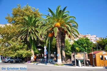 Plomari | Lesbos Griekenland 4 - Foto van https://www.grieksegids.nl/fotos/lesbos/normaal/lesbos-griekenland-326.jpg