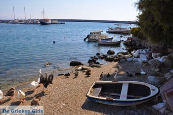 Plomari | Lesbos Griekenland 14 - Foto van https://www.grieksegids.nl/fotos/lesbos/normaal/lesbos-griekenland-336.jpg