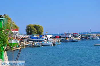 Plomari | Lesbos Griekenland 17 - Foto van https://www.grieksegids.nl/fotos/lesbos/normaal/lesbos-griekenland-339.jpg