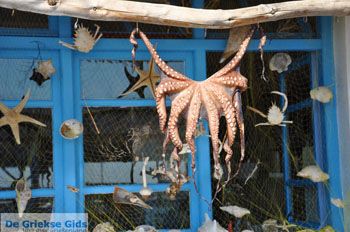 Plomari | Lesbos Griekenland 46 - Foto van https://www.grieksegids.nl/fotos/lesbos/normaal/lesbos-griekenland-368.jpg