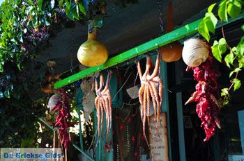 Plomari | Lesbos Griekenland 55 - Foto van https://www.grieksegids.nl/fotos/lesbos/normaal/lesbos-griekenland-377.jpg