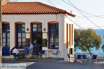 Plomari | Lesbos Griekenland 75 - Foto van https://www.grieksegids.nl/fotos/lesbos/normaal/lesbos-griekenland-397.jpg