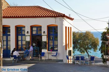 Plomari | Lesbos Griekenland 76 - Foto van https://www.grieksegids.nl/fotos/lesbos/normaal/lesbos-griekenland-398.jpg