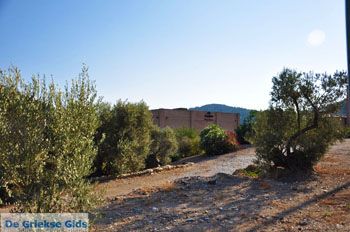 Plomari | Lesbos Griekenland 81 - Foto van https://www.grieksegids.nl/fotos/lesbos/normaal/lesbos-griekenland-403.jpg