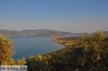Evriaki | Geras Baai Lesbos | Griekse Gids 1 - Foto van https://www.grieksegids.nl/fotos/lesbos/normaal/lesbos-griekenland-407.jpg
