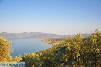 Evriaki | Geras Baai Lesbos | Griekse Gids 2 - Foto van https://www.grieksegids.nl/fotos/lesbos/normaal/lesbos-griekenland-408.jpg