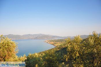 Evriaki | Geras Baai Lesbos | Griekse Gids 3 - Foto van https://www.grieksegids.nl/fotos/lesbos/normaal/lesbos-griekenland-409.jpg