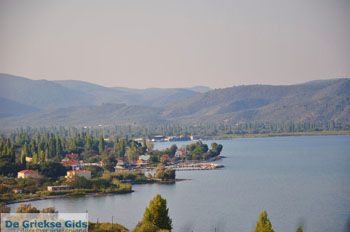 Pigadakia bij Kato Tritos | Lesbos | Griekse Gids 2 - Foto van https://www.grieksegids.nl/fotos/lesbos/normaal/lesbos-griekenland-411.jpg