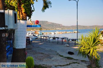 Pigadakia bij Kato Tritos | Lesbos | Griekse Gids 4 - Foto van https://www.grieksegids.nl/fotos/lesbos/normaal/lesbos-griekenland-413.jpg