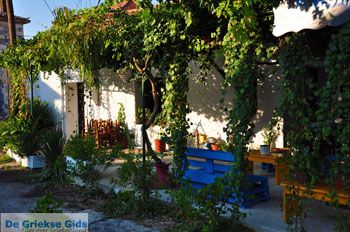 Pigadakia bij Kato Tritos | Lesbos | Griekse Gids 5 - Foto van https://www.grieksegids.nl/fotos/lesbos/normaal/lesbos-griekenland-414.jpg