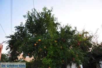 Thermi Lesbos | Griekenland 20 - Foto van https://www.grieksegids.nl/fotos/lesbos/normaal/lesbos-griekenland-470.jpg