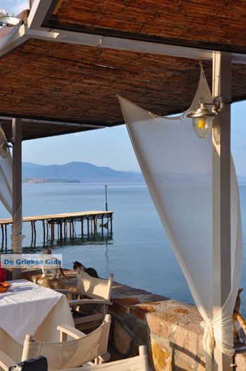 Molyvos Lesbos | Griekenland 152 - Foto van https://www.grieksegids.nl/fotos/lesbos/normaal/lesbos-griekenland-476.jpg