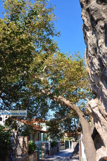 Petra Lesbos | Griekenland 43 - Foto van https://www.grieksegids.nl/fotos/lesbos/normaal/lesbos-griekenland-495.jpg