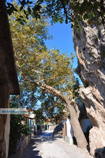 Petra Lesbos | Griekenland 44 - Foto van https://www.grieksegids.nl/fotos/lesbos/normaal/lesbos-griekenland-496.jpg