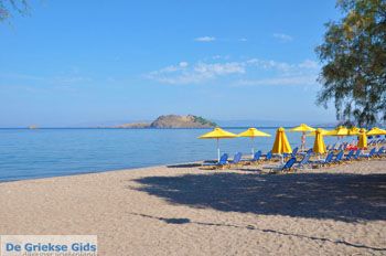 Anaxos Lesbos | Griekenland 9 - Foto van https://www.grieksegids.nl/fotos/lesbos/normaal/lesbos-griekenland-525.jpg