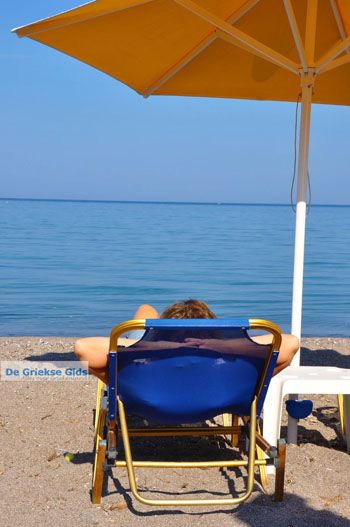 Anaxos Lesbos | Griekenland 14 - Foto van https://www.grieksegids.nl/fotos/lesbos/normaal/lesbos-griekenland-530.jpg