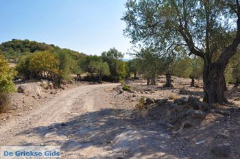 Bij Kremasti-brug | Lesbos Griekenland 2 - Foto van https://www.grieksegids.nl/fotos/lesbos/normaal/lesbos-griekenland-548.jpg