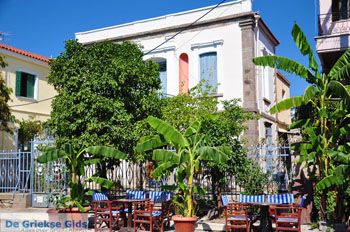 Agia Paraskevi Lesbos | Griekenland 12 - Foto van https://www.grieksegids.nl/fotos/lesbos/normaal/lesbos-griekenland-568.jpg