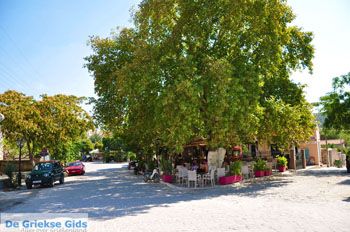 Agia Paraskevi Lesbos | Griekenland 15 - Foto van https://www.grieksegids.nl/fotos/lesbos/normaal/lesbos-griekenland-571.jpg
