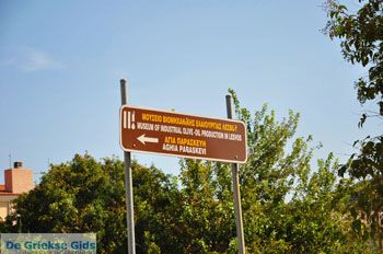 Agia Paraskevi Lesbos | Griekenland 17 - Foto van https://www.grieksegids.nl/fotos/lesbos/normaal/lesbos-griekenland-573.jpg