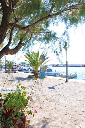 Skala Kallonis Lesbos | Griekenland 21 - Foto van https://www.grieksegids.nl/fotos/lesbos/normaal/lesbos-griekenland-577.jpg