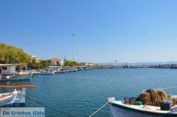 Skala Kallonis Lesbos | Griekenland 25 - Foto van https://www.grieksegids.nl/fotos/lesbos/normaal/lesbos-griekenland-581.jpg