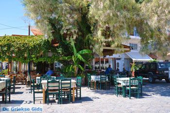 Skala Kallonis Lesbos | Griekenland 36 - Foto van https://www.grieksegids.nl/fotos/lesbos/normaal/lesbos-griekenland-592.jpg