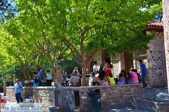 Mantamados Lesbos | Griekenland 53 - Foto van https://www.grieksegids.nl/fotos/lesbos/normaal/lesbos-griekenland-609.jpg