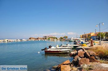 Skala Neon Kidonion | Lesbos | De Griekse Gids 4 - Foto van https://www.grieksegids.nl/fotos/lesbos/normaal/lesbos-griekenland-619.jpg