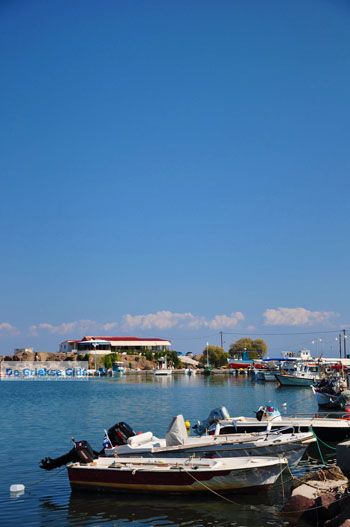 Skala Neon Kidonion | Lesbos | De Griekse Gids 7 - Foto van https://www.grieksegids.nl/fotos/lesbos/normaal/lesbos-griekenland-622.jpg