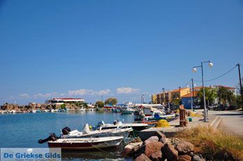 Skala Neon Kidonion | Lesbos | De Griekse Gids 8 - Foto van https://www.grieksegids.nl/fotos/lesbos/normaal/lesbos-griekenland-623.jpg