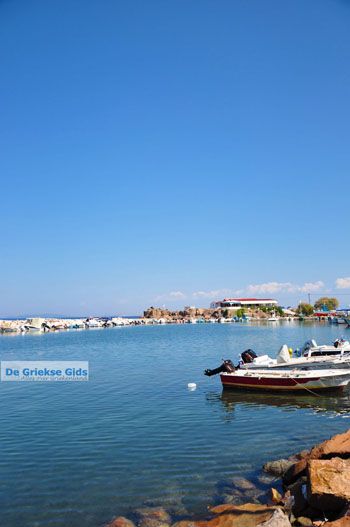 Skala Neon Kidonion | Lesbos | De Griekse Gids 10 - Foto van https://www.grieksegids.nl/fotos/lesbos/normaal/lesbos-griekenland-625.jpg