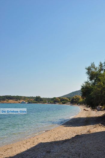 Mistegna - Skala Mistegna | Lesbos | De Griekse Gids 3 - Foto van https://www.grieksegids.nl/fotos/lesbos/normaal/lesbos-griekenland-630.jpg