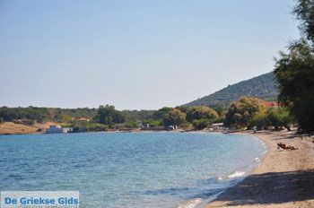 Mistegna - Skala Mistegna | Lesbos | De Griekse Gids 5 - Foto van https://www.grieksegids.nl/fotos/lesbos/normaal/lesbos-griekenland-632.jpg