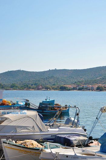 Mistegna - Skala Mistegna | Lesbos | De Griekse Gids 12 - Foto van https://www.grieksegids.nl/fotos/lesbos/normaal/lesbos-griekenland-639.jpg