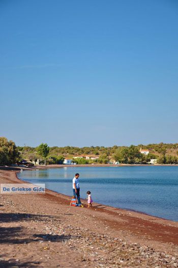 Tsonia | Lesbos | De Griekse Gids 3 - Foto van https://www.grieksegids.nl/fotos/lesbos/normaal/lesbos-griekenland-649.jpg