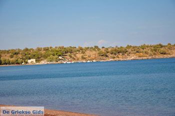 Tsonia | Lesbos | De Griekse Gids 4 - Foto van https://www.grieksegids.nl/fotos/lesbos/normaal/lesbos-griekenland-650.jpg