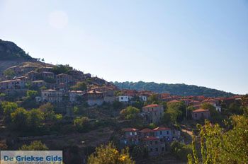 Sykaminia - Skala Sykaminia | Lesbos | De Griekse Gids 1 - Foto van https://www.grieksegids.nl/fotos/lesbos/normaal/lesbos-griekenland-654.jpg