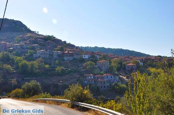 Sykaminia - Skala Sykaminia | Lesbos | De Griekse Gids 2 - Foto van https://www.grieksegids.nl/fotos/lesbos/normaal/lesbos-griekenland-655.jpg