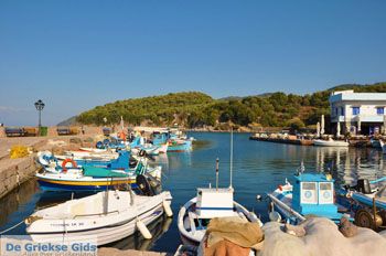 Sykaminia - Skala Sykaminia | Lesbos | De Griekse Gids 7 - Foto van https://www.grieksegids.nl/fotos/lesbos/normaal/lesbos-griekenland-660.jpg