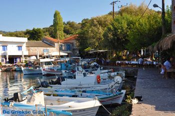 Sykaminia - Skala Sykaminia | Lesbos | De Griekse Gids 11 - Foto van https://www.grieksegids.nl/fotos/lesbos/normaal/lesbos-griekenland-664.jpg