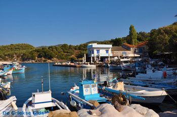 Sykaminia - Skala Sykaminia | Lesbos | De Griekse Gids 13 - Foto van https://www.grieksegids.nl/fotos/lesbos/normaal/lesbos-griekenland-666.jpg