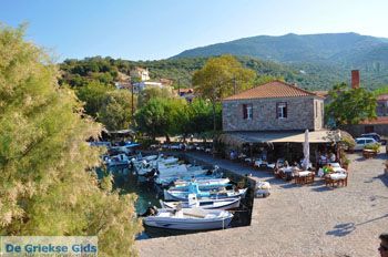 Sykaminia - Skala Sykaminia | Lesbos | De Griekse Gids 15 - Foto van https://www.grieksegids.nl/fotos/lesbos/normaal/lesbos-griekenland-668.jpg