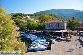Sykaminia - Skala Sykaminia | Lesbos | De Griekse Gids 16 - Foto van https://www.grieksegids.nl/fotos/lesbos/normaal/lesbos-griekenland-669.jpg