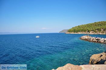 Sykaminia - Skala Sykaminia | Lesbos | De Griekse Gids 17 - Foto van https://www.grieksegids.nl/fotos/lesbos/normaal/lesbos-griekenland-670.jpg