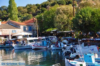 Sykaminia - Skala Sykaminia | Lesbos | GriechenlandWeb.de 19 - Foto von GriechenlandWeb.de