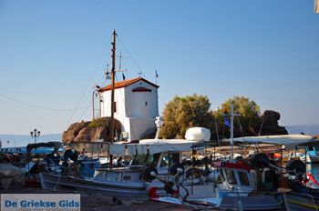 Sykaminia - Skala Sykaminia | Lesbos | De Griekse Gids 21 - Foto van https://www.grieksegids.nl/fotos/lesbos/normaal/lesbos-griekenland-674.jpg